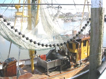 Krabbenkutter im Hafen von Bensersiel